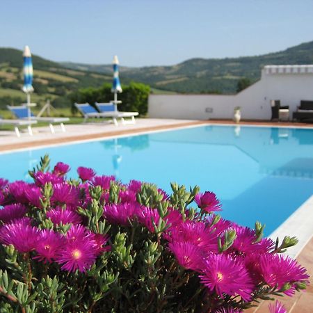 Agriturismo Il Cavallino Saturnia Semproniano Buitenkant foto