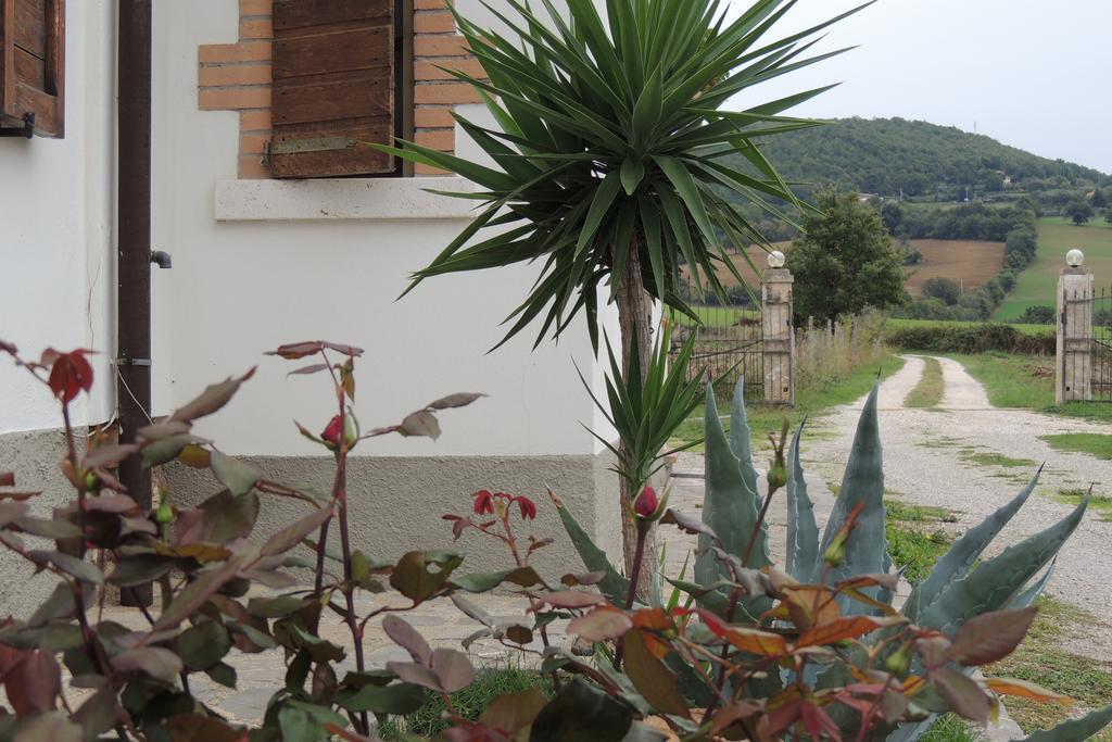 Agriturismo Il Cavallino Saturnia Semproniano Buitenkant foto